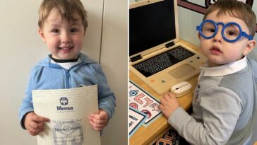 We're parents of UK's smartest toddler – he taught HIMSELF to read & has 139 IQ
