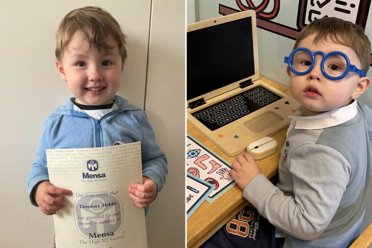 We're parents of UK's smartest toddler – he taught HIMSELF to read & has 139 IQ