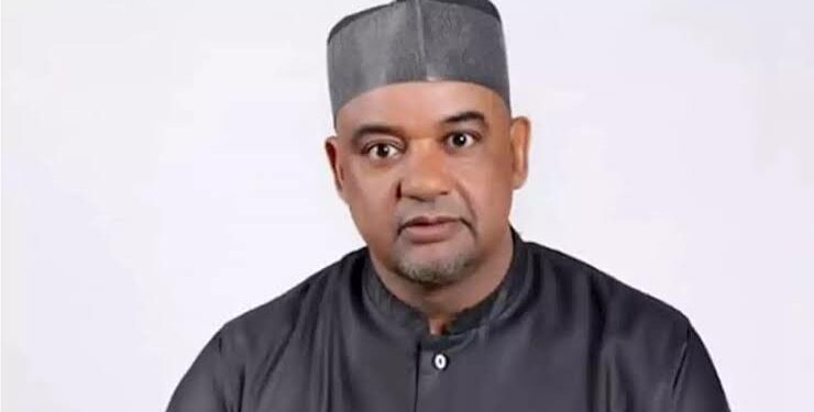 PDP acting chairman reveals next step after taking over from Ayu