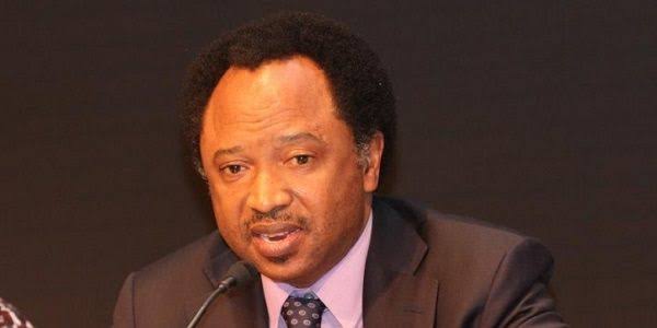 Before you vote in 2027, read Shehu Sani’s 16 promises that Nigerian politicians never keep
