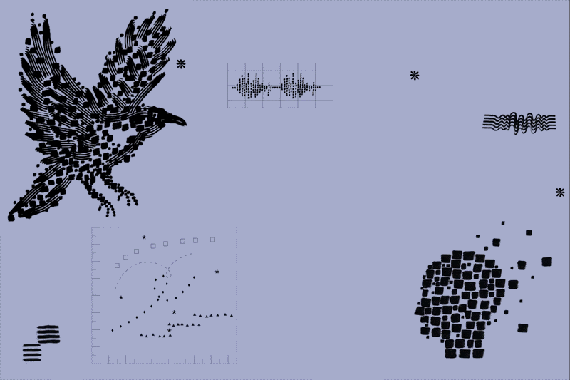 Talking to animals emerges as AI’s next ethical minefield