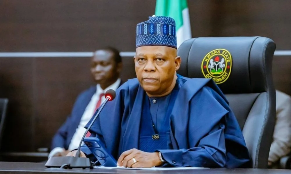 Shettima reveals only six Northern governors backed Tinubu in 2023