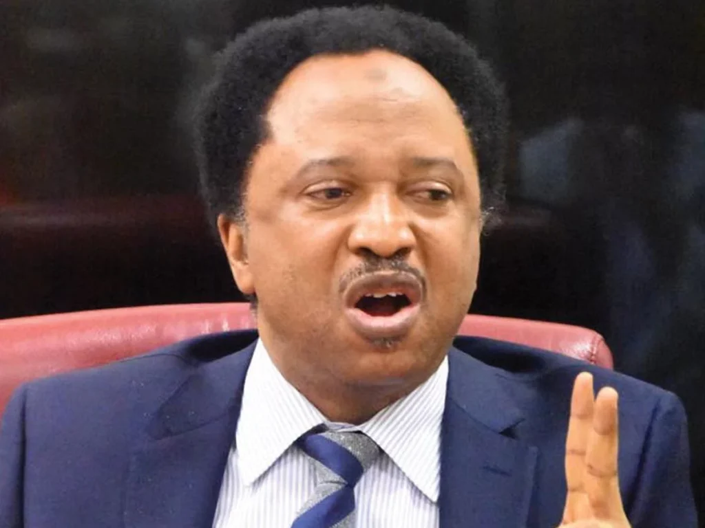 Ex-Senator Shehu Sani criticises FG’s 0 billion mineral agreement with US
