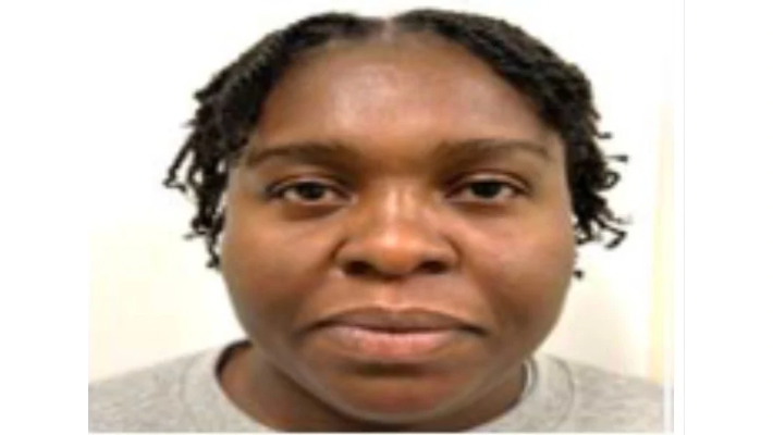 ICE arrests Nigerian Iheanacho, flags her among ‘worst of worst’ for deportation
