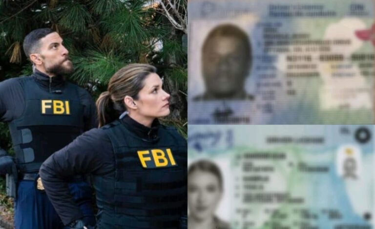 FBI investigates mass sale of driving licences on dark web
