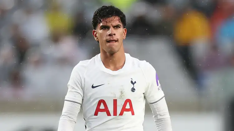De Zerbi explains Fernandes snub as Tottenham star Tel faces blunt criticism