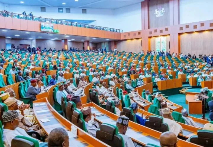 Reps summon Finance Minister Oyedele, AGF over N75bn UBEC debt